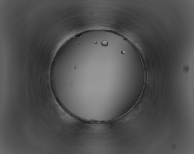 X0000091561189200708311408