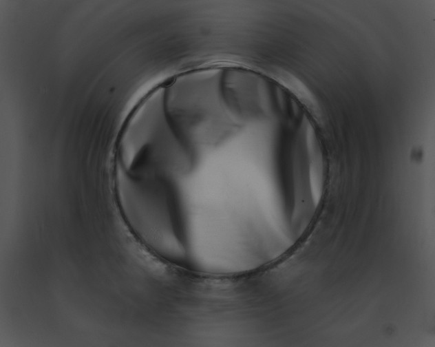 X0000091561190200708311408