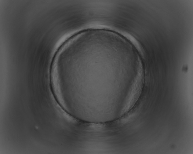 X0000091561191200708311408