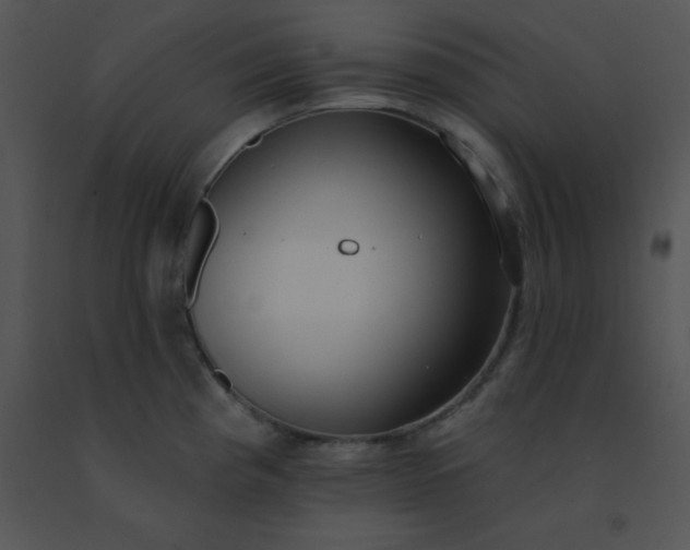 X0000091561193200708311408