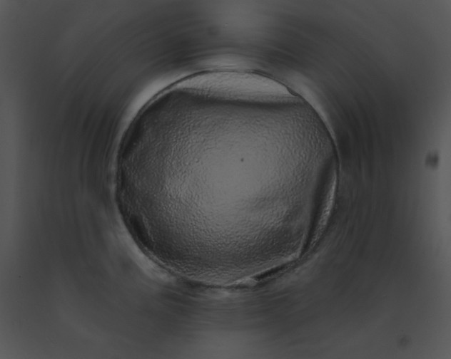 X0000091561195200708311408