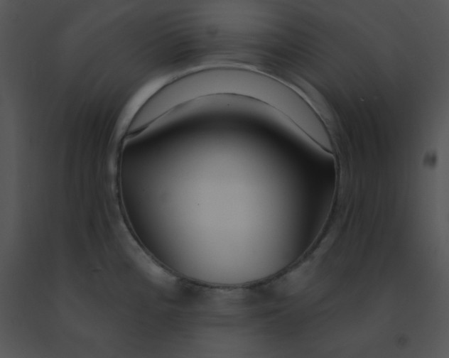 X0000091561196200708311408