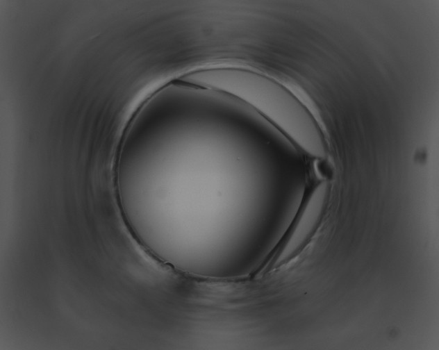 X0000091561197200708311408