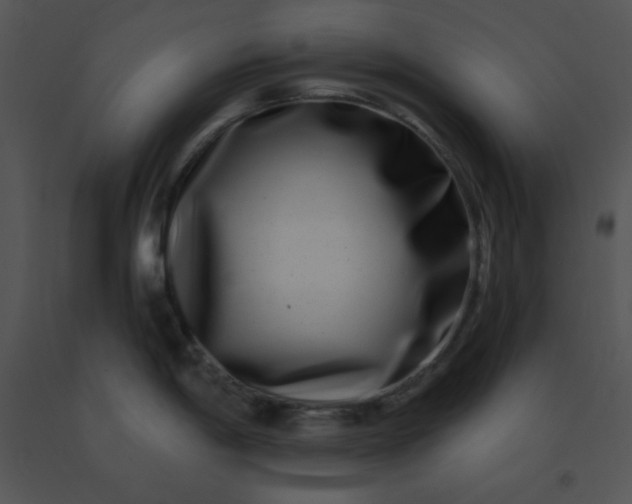 X0000091561198200708311408