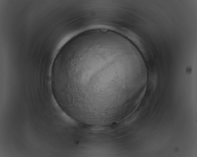 X0000091561199200708311408