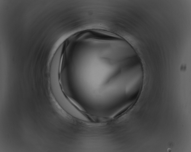 X0000091561200200708311408