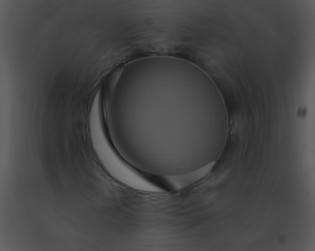 X0000091561202200708311407