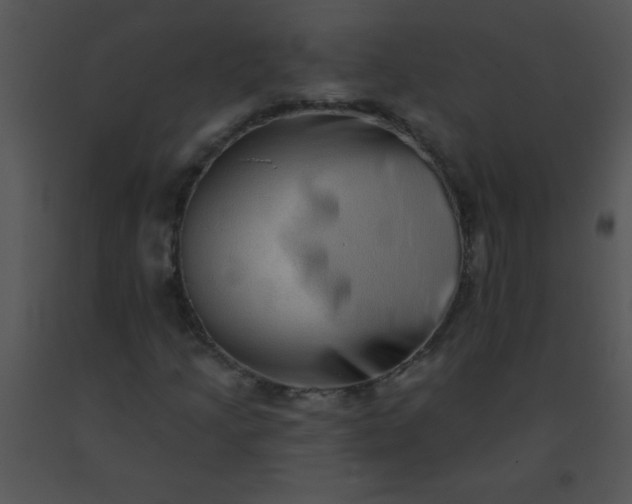 X0000091561205200708311407