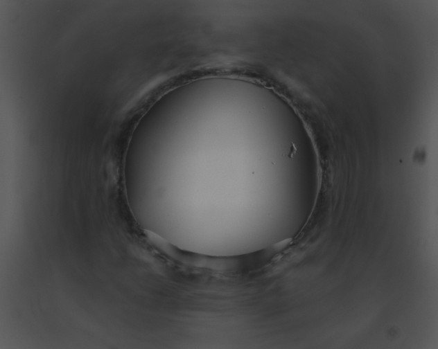 X0000091561206200708311407