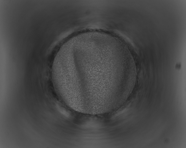 X0000091561207200708311407