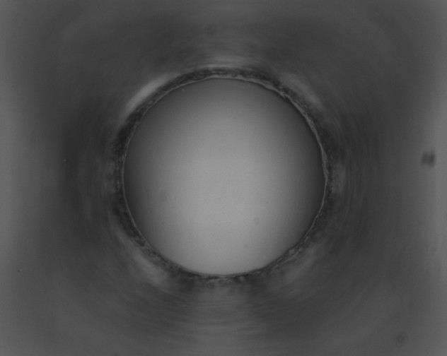 X0000091561208200708311407