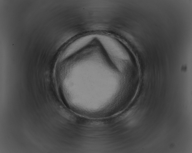 X0000091561209200708311407