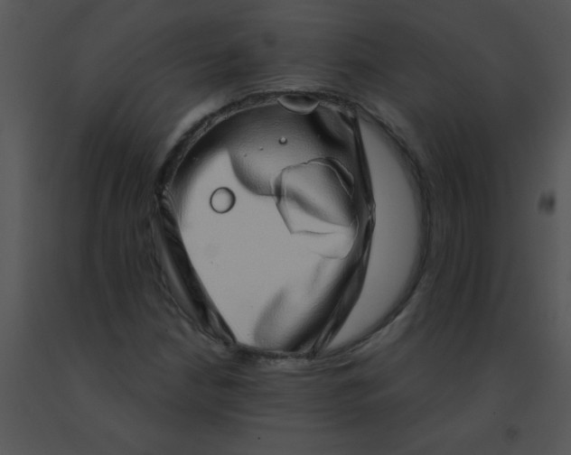 X0000091561210200708311407