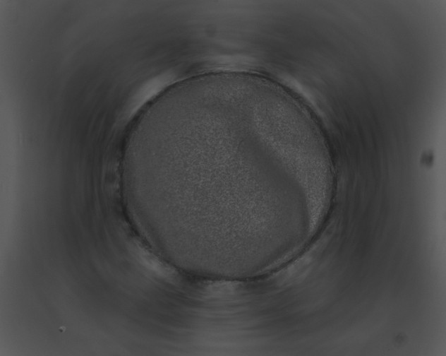 X0000091561211200708311407