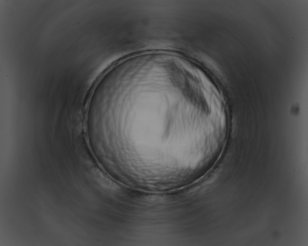 X0000091561212200708311407