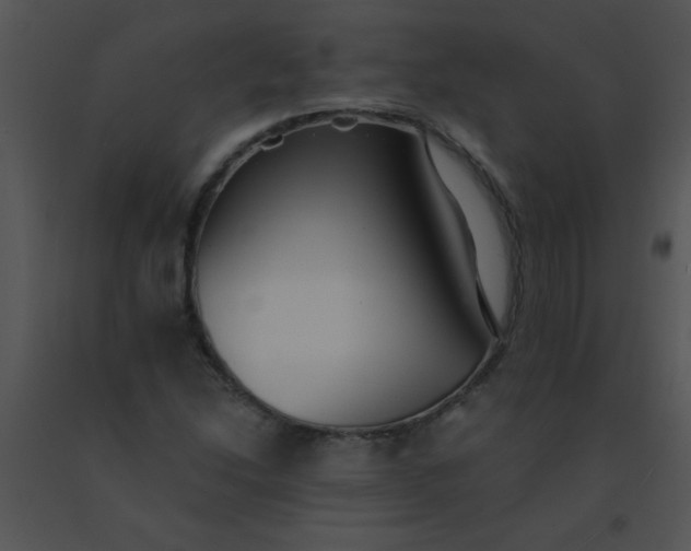 X0000091561214200708311407