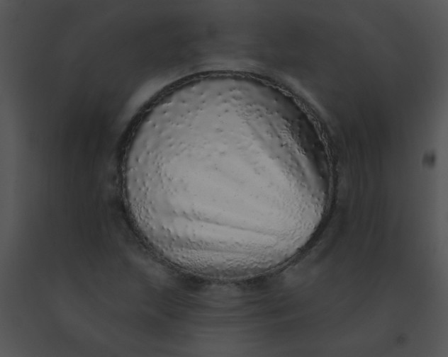 X0000091561215200708311407