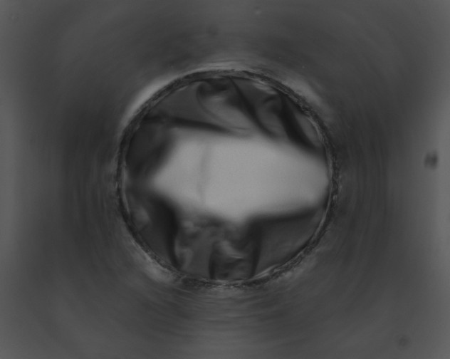 X0000091561216200708311408