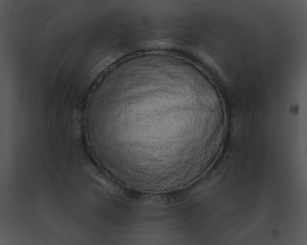 X0000091561217200708311408