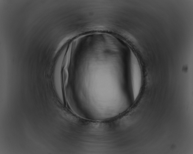 X0000091561218200708311408