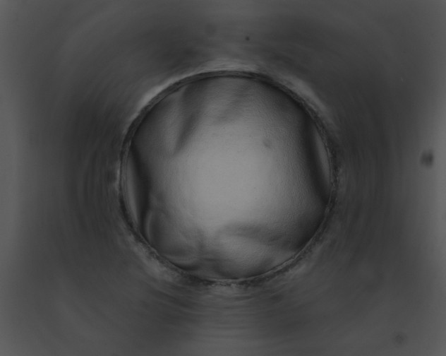 X0000091561220200708311408