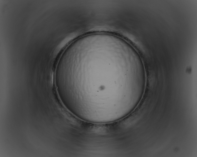 X0000091561221200708311408