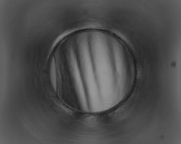 X0000091561222200708311408