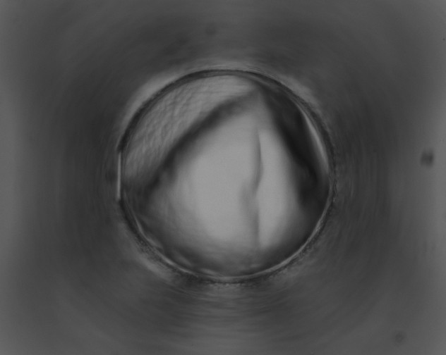 X0000091561223200708311408