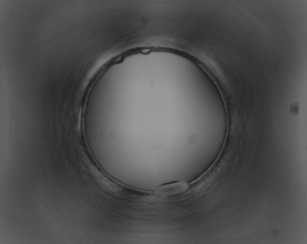 X0000091561224200708311408