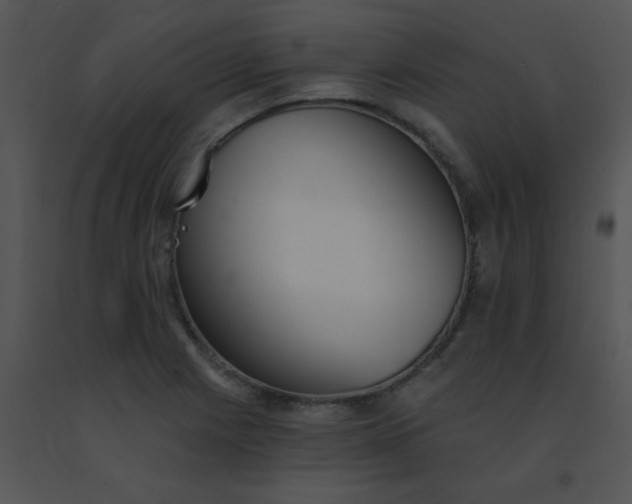 X0000091561225200708311408