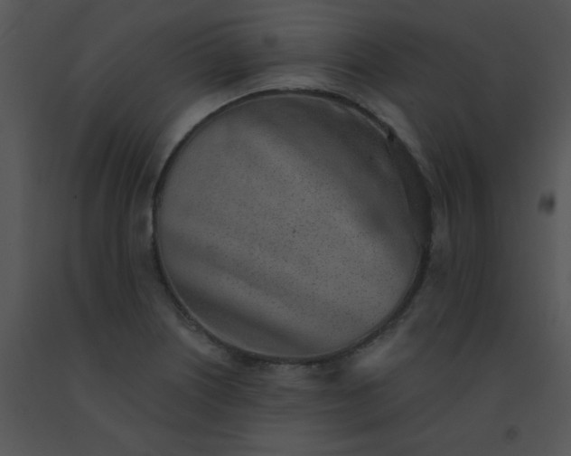 X0000091561226200708311408