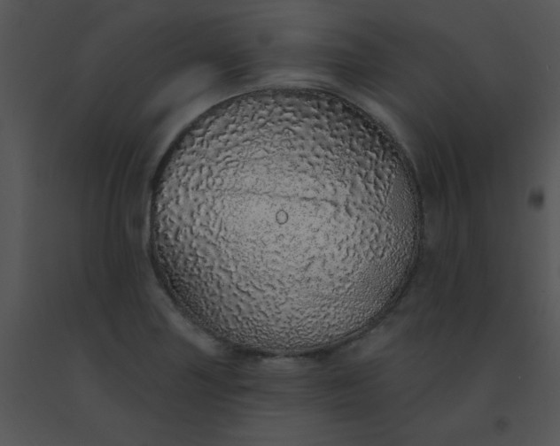 X0000091561227200708311408