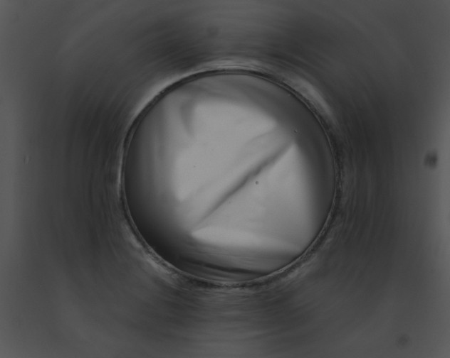 X0000091561228200708311408