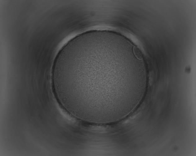 X0000091561229200708311408