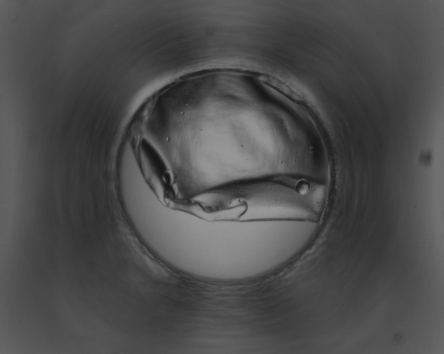 X0000091561230200708311408