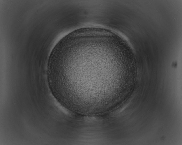 X0000091561231200708311408