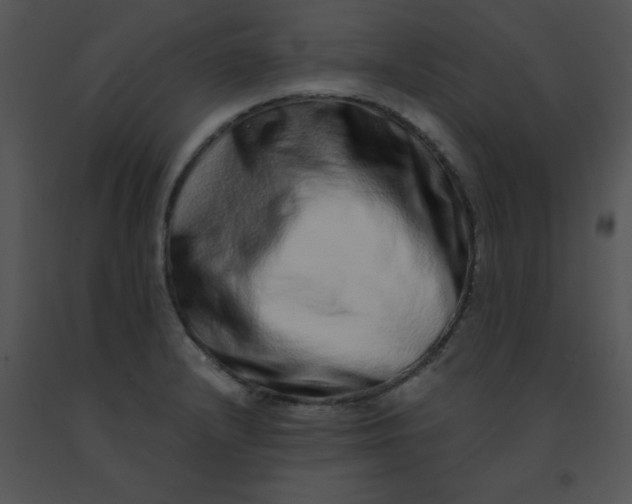 X0000091561232200708311408