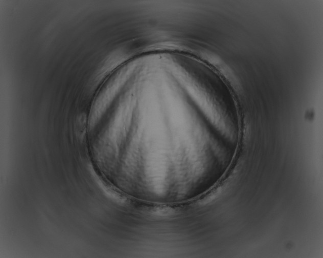 X0000091561233200708311408