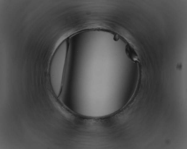 X0000091561234200708311408