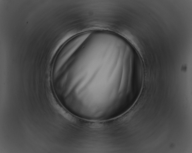 X0000091561235200708311408