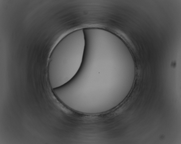 X0000091561236200708311408