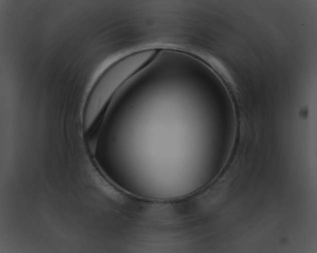 X0000091561238200708311408