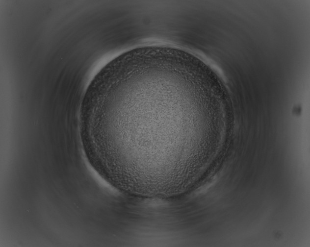 X0000091561239200708311408