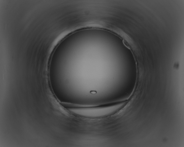 X0000091561240200708311408