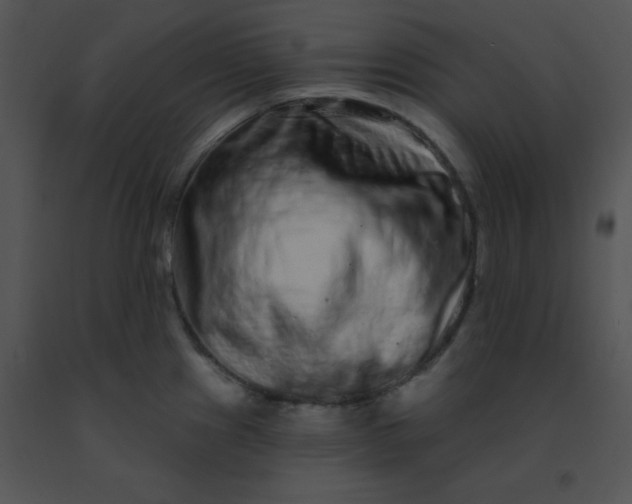 X0000091561241200708311408