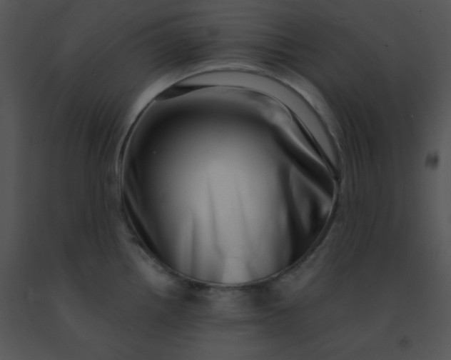 X0000091561242200708311408