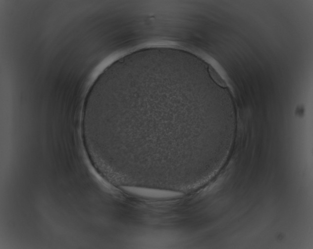 X0000091561245200708311408