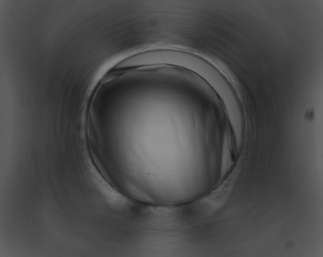 X0000091561246200708311408