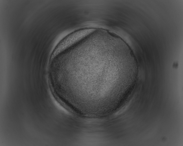 X0000091561247200708311408