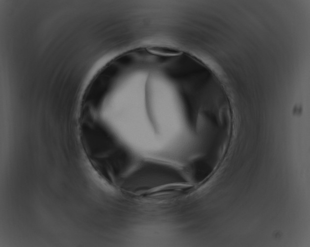 X0000091561248200708311408